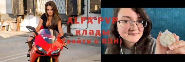 крисы Алексин