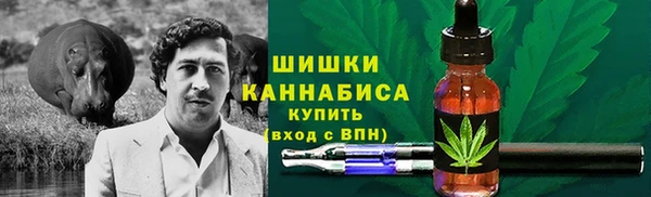 стаф Сафоново