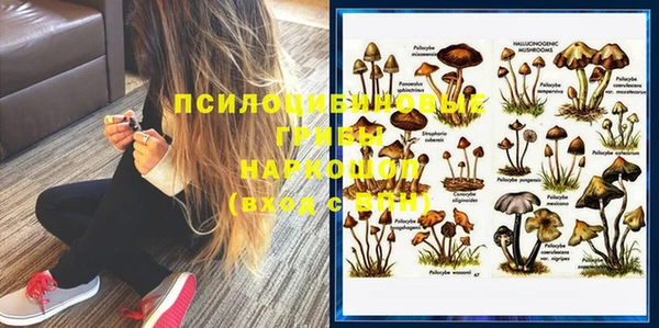 спиды Армянск