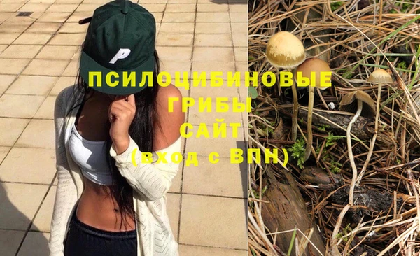 крисы Алексин