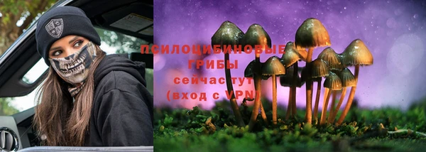 амф Алексеевка
