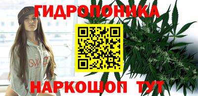mdpv Кингисепп