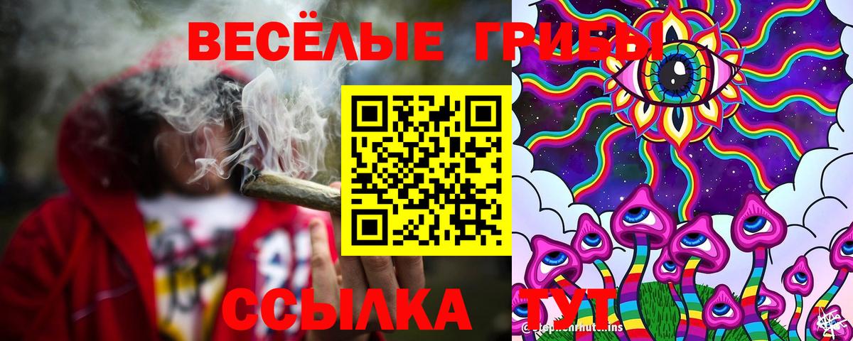Псилоцибиновые грибы Cubensis  Вход с VPN  наркошоп  Киров  Псилоцибиновые грибы прущие грибы 